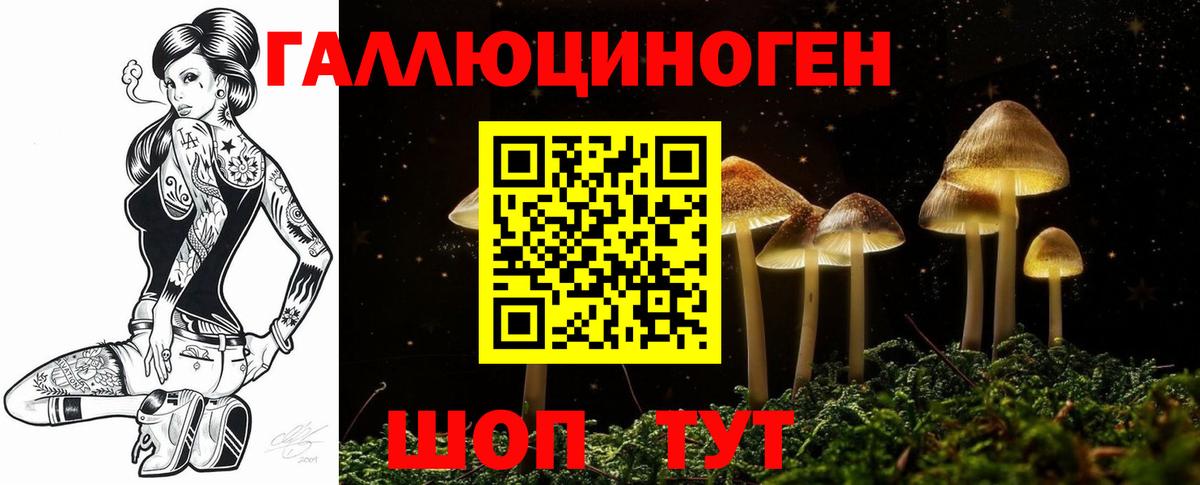 Галлюциногенные грибы Magic Shrooms Элиста