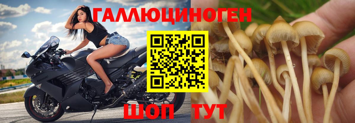 Элиста  Галлюциногенные грибы мухоморы  Вход с VPN 