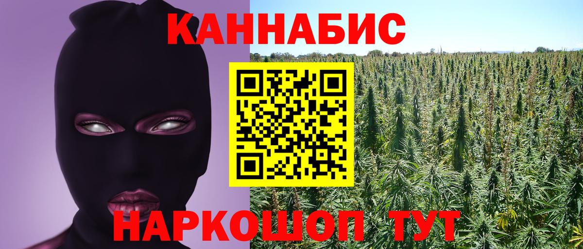 Марихуана индика  Конопля марихуана  Вход с VPN  Элиста  Марихуана Ganja 